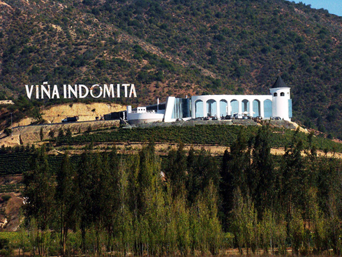 Viña Indómita - Casablanca Tour Pablo Neruda