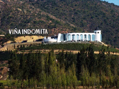 Viña Indómita - Casablanca Viña Indómita - Casablanca