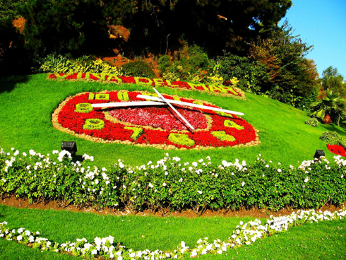 Relógio de Flores - Tour Viña del Mar