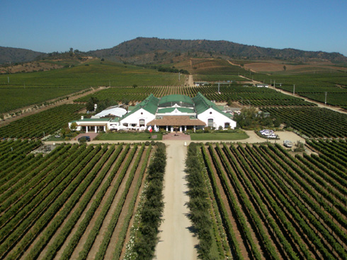 Viña Casas del Bosque