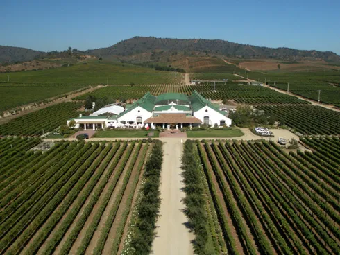Viña Casas del Bosque