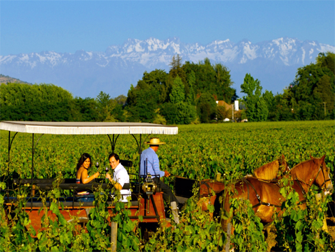 Valle de Colchagua