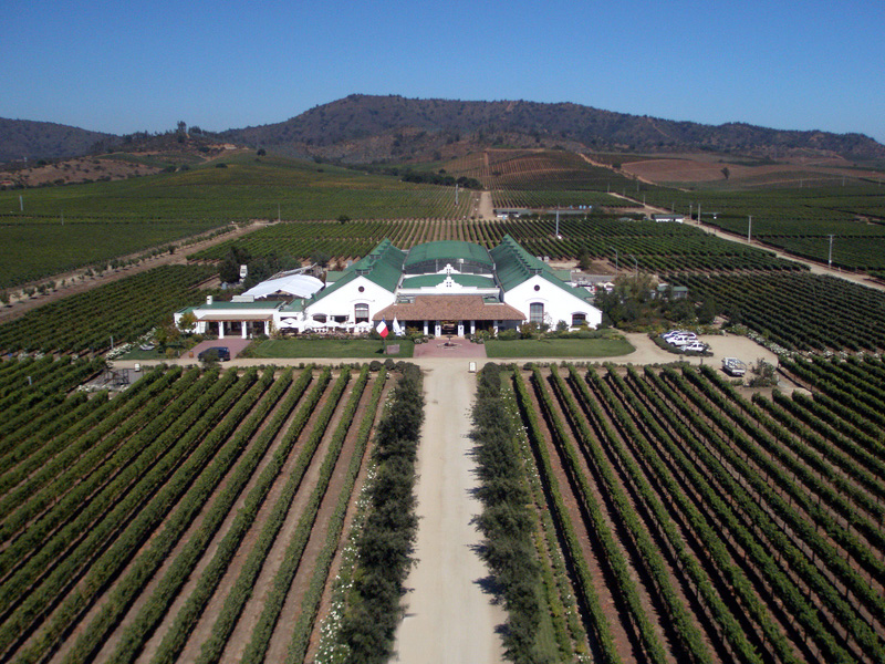 Viña Casas del Bosque