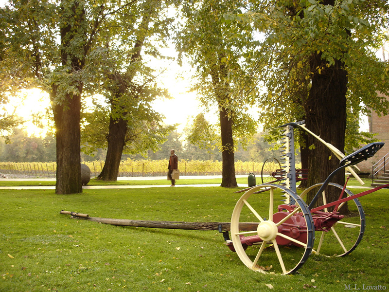Parques y Viñedos Viña Cousiño Macul 