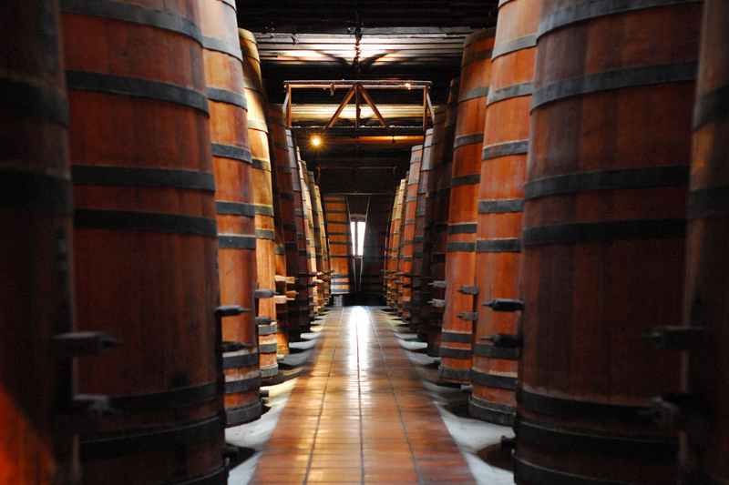 Bodegas Viña Cousiño Macul