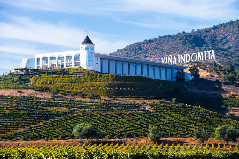 Viña Indómita