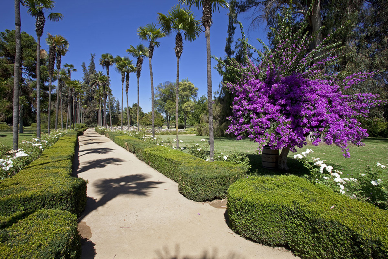 Parque Vinicola Undurraga
